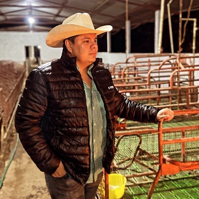 MarioNagaya's profile picture. Médico Veterinario