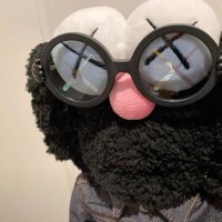 @ぷに (@xobr7tu38flgs2t) 's Twitter Profile