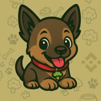 Baby Broccoli - CTO (@firstbabybrocc) 's Twitter Profile