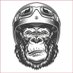 ArcticProcessorshx (@processors20632) Twitter profile photo ArcticProcessorshx (@processors20632) Twitter profile photo