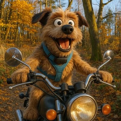 Semmelmeier_BS's profile picture. König der Zwerge 👑 und Minister für Käseverteilgerechtigkeit 🧀
In love with Lea @LeaTerrierherz 💘

+++@Semmelmeier_BS@troet.cafe oder Semmel@bsky.social+++