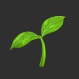 はまちゃん🌱 (@hh110003) 's Twitter Profile