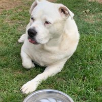 Lacey (@shedoobie2024) 's Twitter Profile