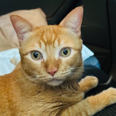 nothing really matters Profile