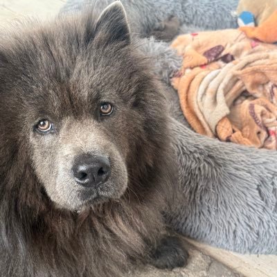 Daniel792128898's profile picture. 