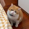 cn0xroot's profile picture. Nobody