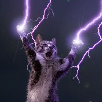 awfully_bored's profile picture. str/int