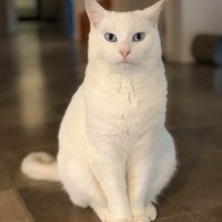 Grace (@powerfu202390) 's Twitter Profile