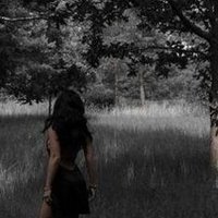 Budea (@budea495) 's Twitter Profile