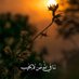 امنهـــ🤍 (@mnh1218990) Twitter profile photo امنهـــ🤍 (@mnh1218990) Twitter profile photo