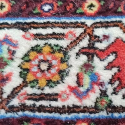 FreeDeer14's profile picture. 