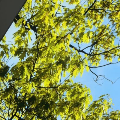 Kritee1909's profile picture. A Simple Girl 👧