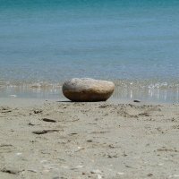Pebble Finding Their Way (@pebblesurviving) 's Twitter Profile Photo Pebble Finding Their Way (@pebblesurviving) 's Twitter Profile Photo