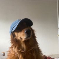 💖 (@twaniimals) 's Twitter Profile