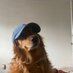 💖 (@twaniimals) Twitter profile photo 💖 (@twaniimals) Twitter profile photo