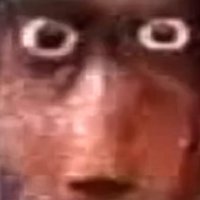 Bruh (@weepwomp124) 's Twitter Profile