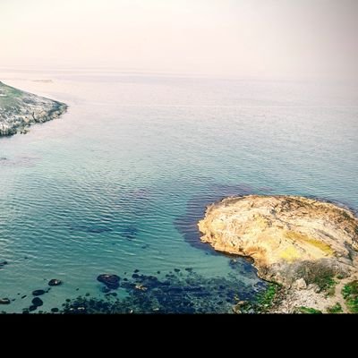 bkykbrx's profile picture. 