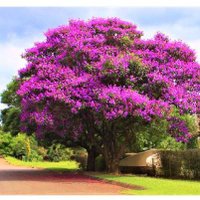 ROBIN ANDRES SANTANA (@robinsanz) 's Twitter Profile Photo