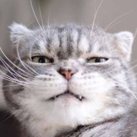 . (@nb8x_) 's Twitter Profile