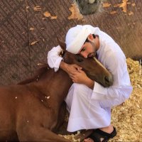 Sheikh Hamdan (@sheikh_ham29033) 's Twitter Profile