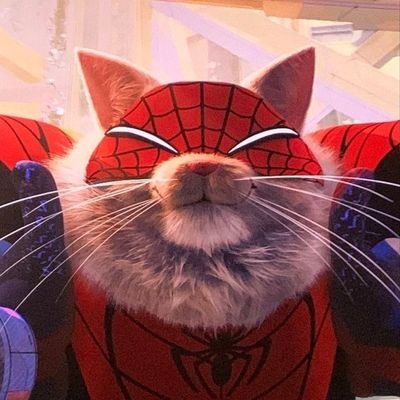 lolasntozz's profile picture. 