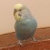 gabriel_artstudio (@gabrielart97) Twitter profile photo gabriel_artstudio (@gabrielart97) Twitter profile photo