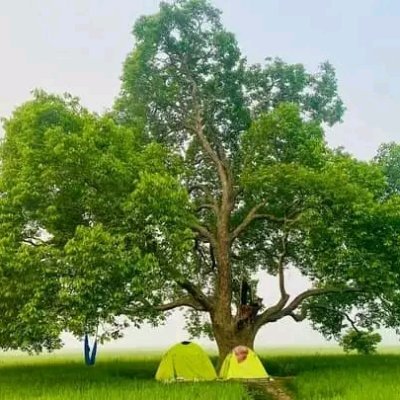 Adersho196138's profile picture. 