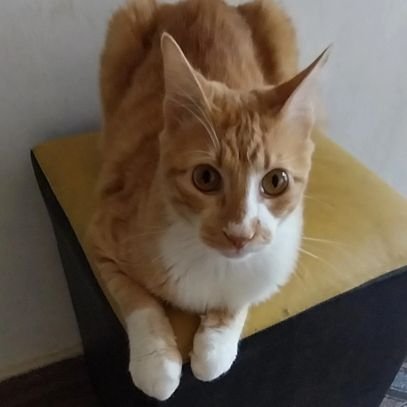 pink221855's profile picture. Tudo posso naquele que me fortalece,,tu és o meu refúgio e minha fortaleza, DEUS MEU.