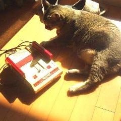ハリです。ちっす。名もなき樹海徘徊者(遺留品メメントモリ派)週末は樹海にいます。元テキストサイト管理人。元樹海のアライさん、ア界隈樹海探索部部長、サブカル糞野郎、糞左翼、謎硬貨所持者→https://t.co/FagNspOQw9 凍結からの新垢移行。ひっそりと生きてます。
