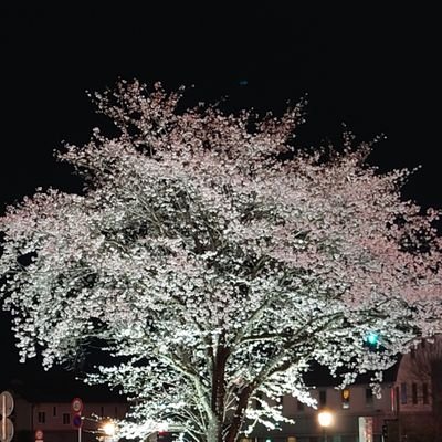 💎功感想妄言壁打ち垢/腐(綾右）/うれしさん最推し
/無言フォロー失礼します🙇‍♀️