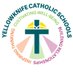 YCS (@ycsnwt) Twitter profile photo YCS (@ycsnwt) Twitter profile photo