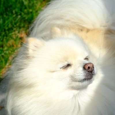 not_so_fat's profile picture. 