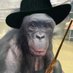 the witch (@thewitchbonobo) Twitter profile photo the witch (@thewitchbonobo) Twitter profile photo