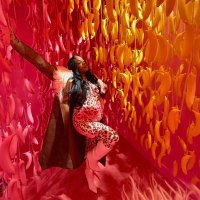 Kia Patrice (@kiapatriceb) 's Twitter Profile Photo Kia Patrice (@kiapatriceb) 's Twitter Profile Photo