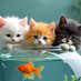 Naturecats (@naturecats25333) Twitter profile photo Naturecats (@naturecats25333) Twitter profile photo
