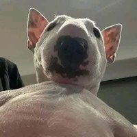 Meu nome não é Jhon (@nuncateste) 's Twitter Profile Photo