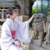 しのぶ (@shinobu_777788) Twitter profile photo しのぶ (@shinobu_777788) Twitter profile photo