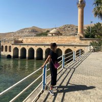 sevim (@pskdansev) 's Twitter Profile Photo