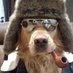 Real_Deal2020 (@real_deal2020) Twitter profile photo Real_Deal2020 (@real_deal2020) Twitter profile photo
