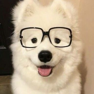 mmさんのプロフィール画像