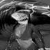 Megalodon (@reidosbares) Twitter profile photo Megalodon (@reidosbares) Twitter profile photo