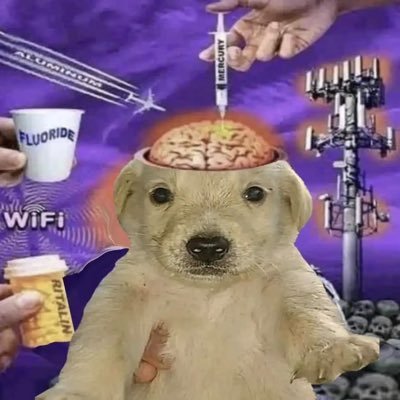 seedplanter17's profile picture. Φ