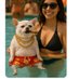 Mowbalos (@mowtercero) Twitter profile photo Mowbalos (@mowtercero) Twitter profile photo