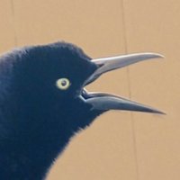 Susan (@bryson_sus40274) 's Twitter Profile