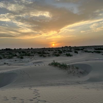 من المجاهدين الأفغان والناشطين في مجال السياسة والفکر والأدب.