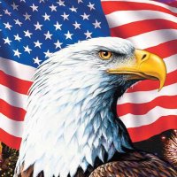 Karl_B (@kb_pats) 's Twitter Profile
