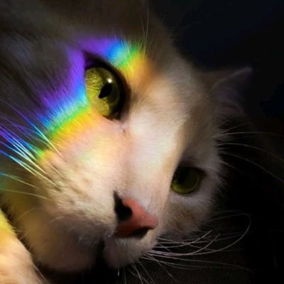 FreenoSirin's profile picture. Here is one architect from Kyiv. Rational dreamer. Cat lover and tech geek