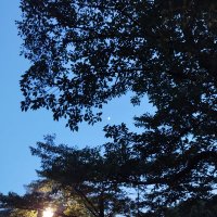 Frandon. (@the_furafurasan) Twitter profile photo
