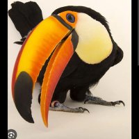 Gbirdie (@gbirdie80) 's Twitter Profile