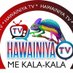 Hawainiya TV (@hawainiyatv1) Twitter profile photo Hawainiya TV (@hawainiyatv1) Twitter profile photo